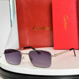 Cartier Sunglasses AAA (810)