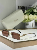 Cartier Sunglasses AAA (223)
