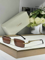 Cartier Sunglasses AAA (223) Cartier Sunglasses AAA (223)