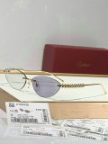 Cartier Sunglasses AAA (348)