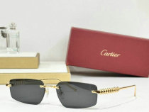 Cartier Sunglasses AAA (871) Cartier Sunglasses AAA (871)