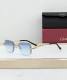 Cartier Sunglasses AAA (1992)
