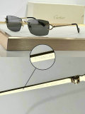 Cartier Sunglasses AAA (230)