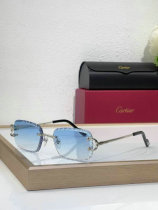 Cartier Sunglasses AAA (770) Cartier Sunglasses AAA (770)