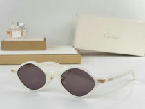 Cartier Sunglasses AAA (13)