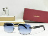 Cartier Sunglasses AAA (858)