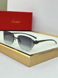 Cartier Sunglasses AAA (185)