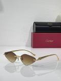 Cartier Sunglasses AAA (1958)