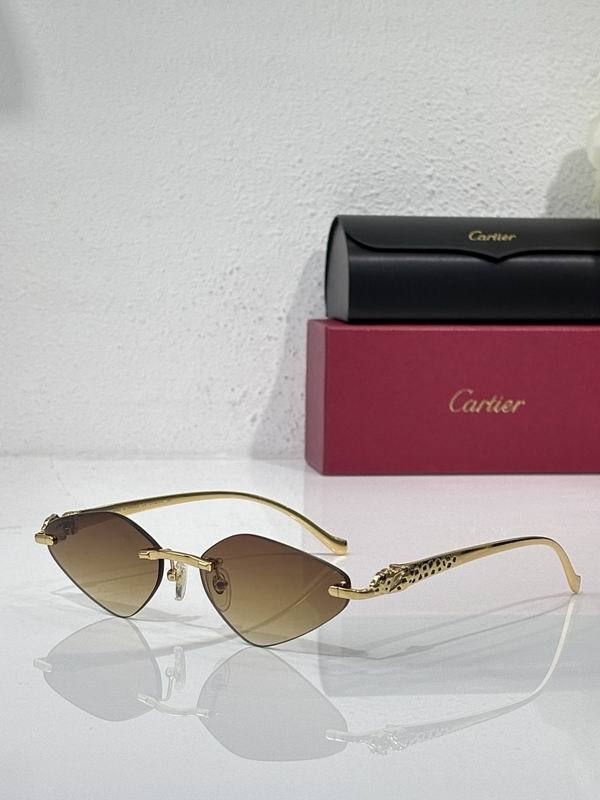Cartier Sunglasses AAA (1958)