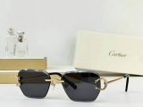 Cartier Sunglasses AAA (713)