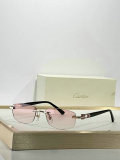 Cartier Sunglasses AAA (492)