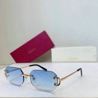 Cartier Sunglasses AAA (48)