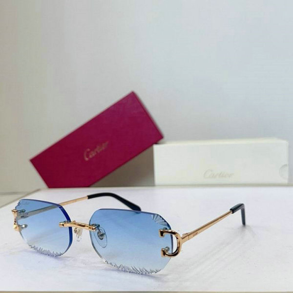 Cartier Sunglasses AAA (48)