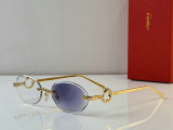 Cartier Sunglasses AAA (1)