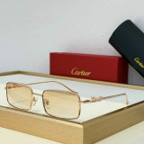 Cartier Sunglasses AAA (725)