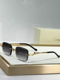 Cartier Sunglasses AAA (1062)