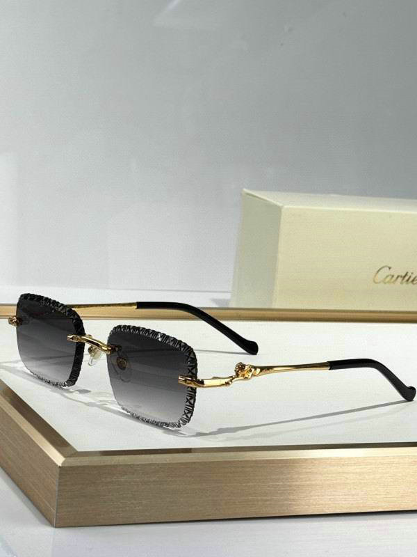 Cartier Sunglasses AAA (1062)