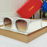 Cartier Sunglasses AAA (900)