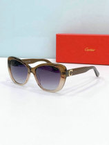 Cartier Sunglasses AAA (970) Cartier Sunglasses AAA (970)