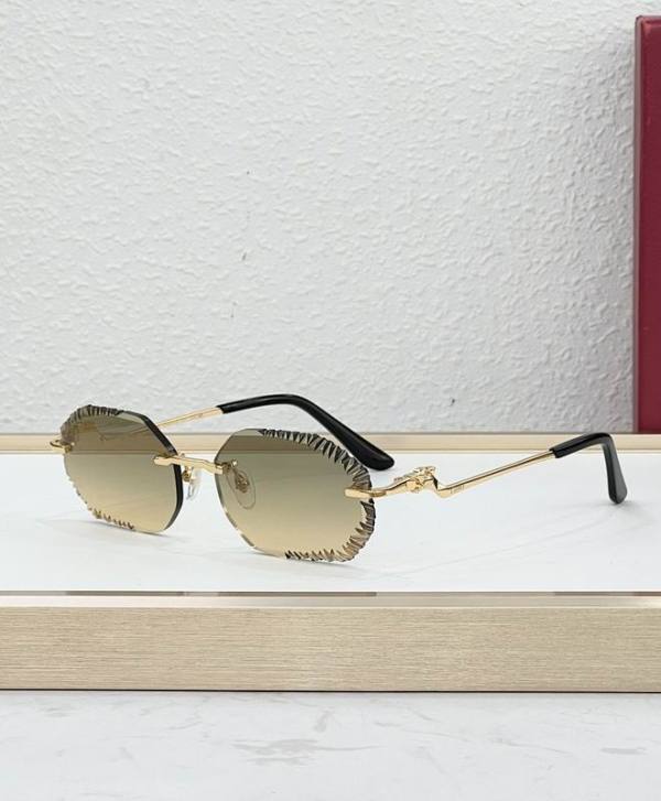 Cartier Sunglasses AAA (2002)