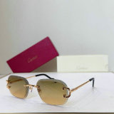 Cartier Sunglasses AAA (167)