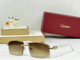 Cartier Sunglasses AAA (1100)