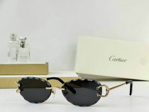 Cartier Sunglasses AAA (710)