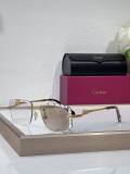 Cartier Sunglasses AAA (2496)
