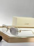 Cartier Sunglasses AAA (3517)