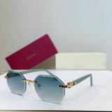 Cartier Sunglasses AAA (174)