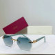 Cartier Sunglasses AAA (174)
