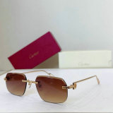 Cartier Sunglasses AAA (1779)