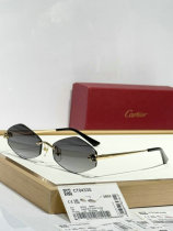 Cartier Sunglasses AAA (1038) Cartier Sunglasses AAA (1038)