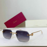 Cartier Sunglasses AAA (1778)