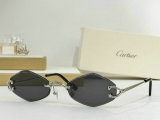 Cartier Sunglasses AAA (241)