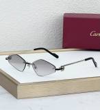 Cartier Sunglasses AAA (1923)