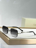 Cartier Sunglasses AAA (1066)