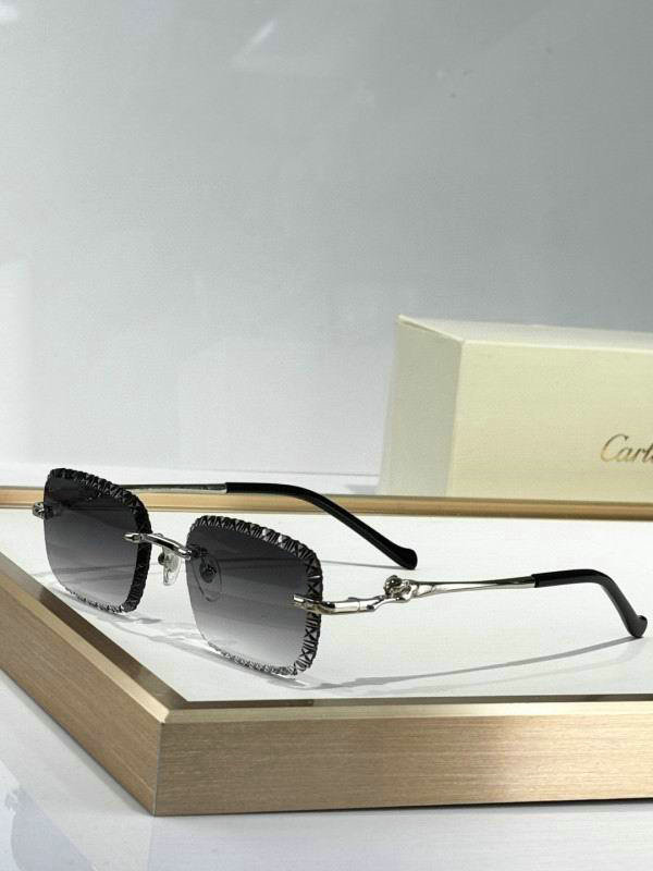 Cartier Sunglasses AAA (1066)