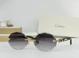 Cartier Sunglasses AAA (2223)