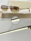 Cartier Sunglasses AAA (2251)