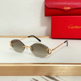 Cartier Sunglasses AAA (1413)