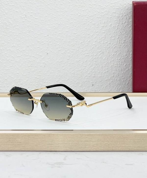 Cartier Sunglasses AAA (2004)