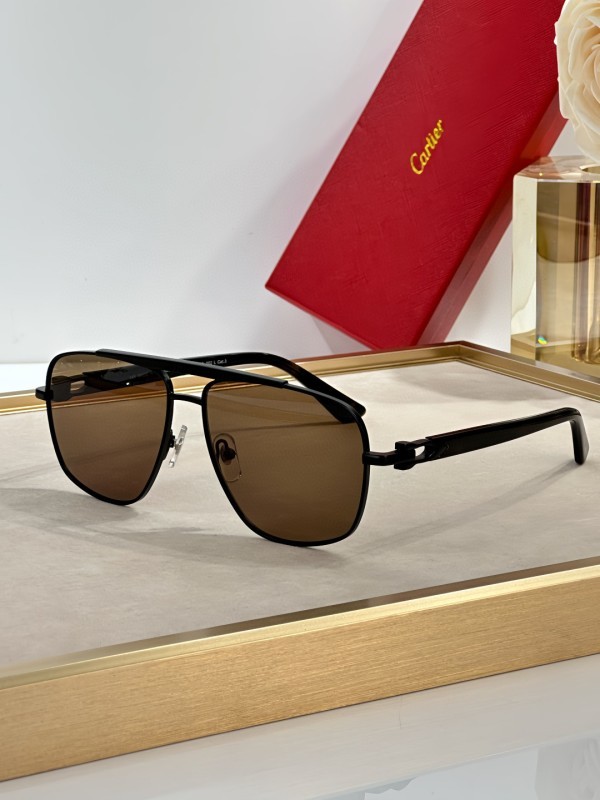 Cartier Sunglasses AAA (2800)