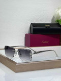 Cartier Sunglasses AAA (1235)