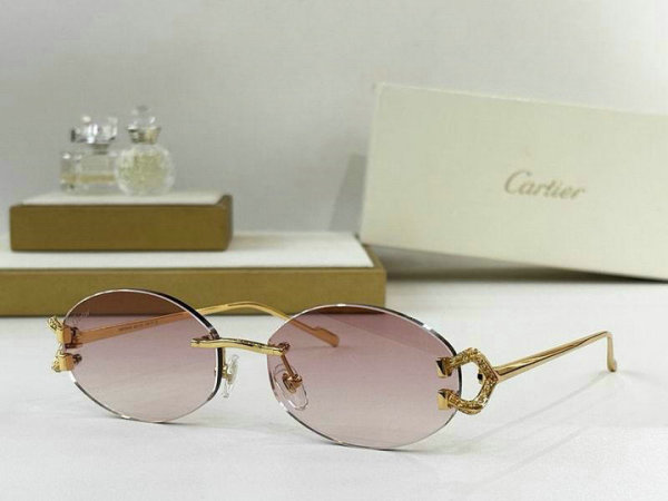 Cartier Sunglasses AAA (79)