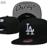 MLB Los Angeles Dodgers Snapback Hat (615)