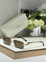 Cartier Sunglasses AAA (222) Cartier Sunglasses AAA (222)