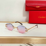 Cartier Sunglasses AAA (1408)
