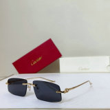 Cartier Sunglasses AAA (1517)