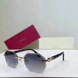 Cartier Sunglasses AAA (184)